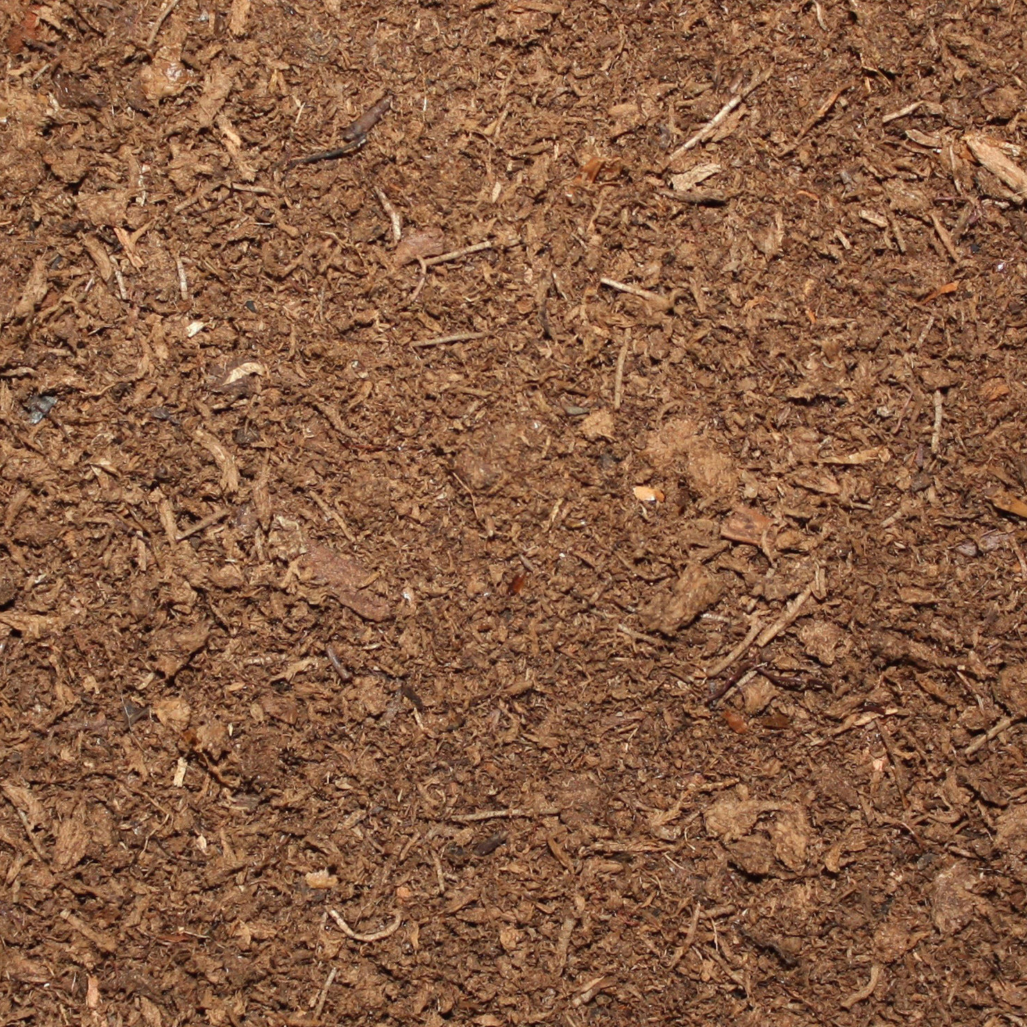 Mansion in the woods Free 3D model_16