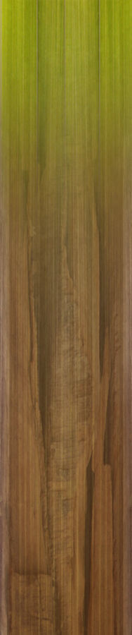 Mansion in the woods Free 3D model_3