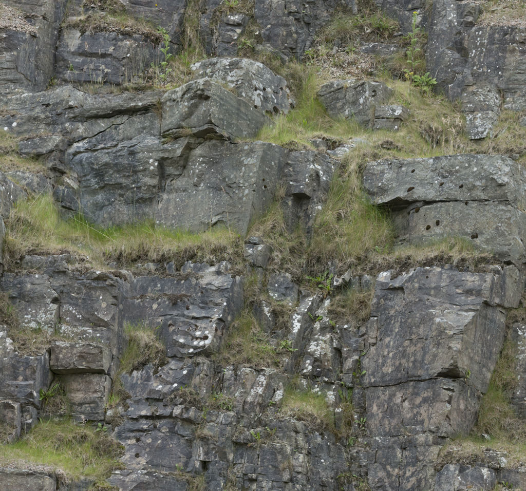 Mansion in the woods Free 3D model_21