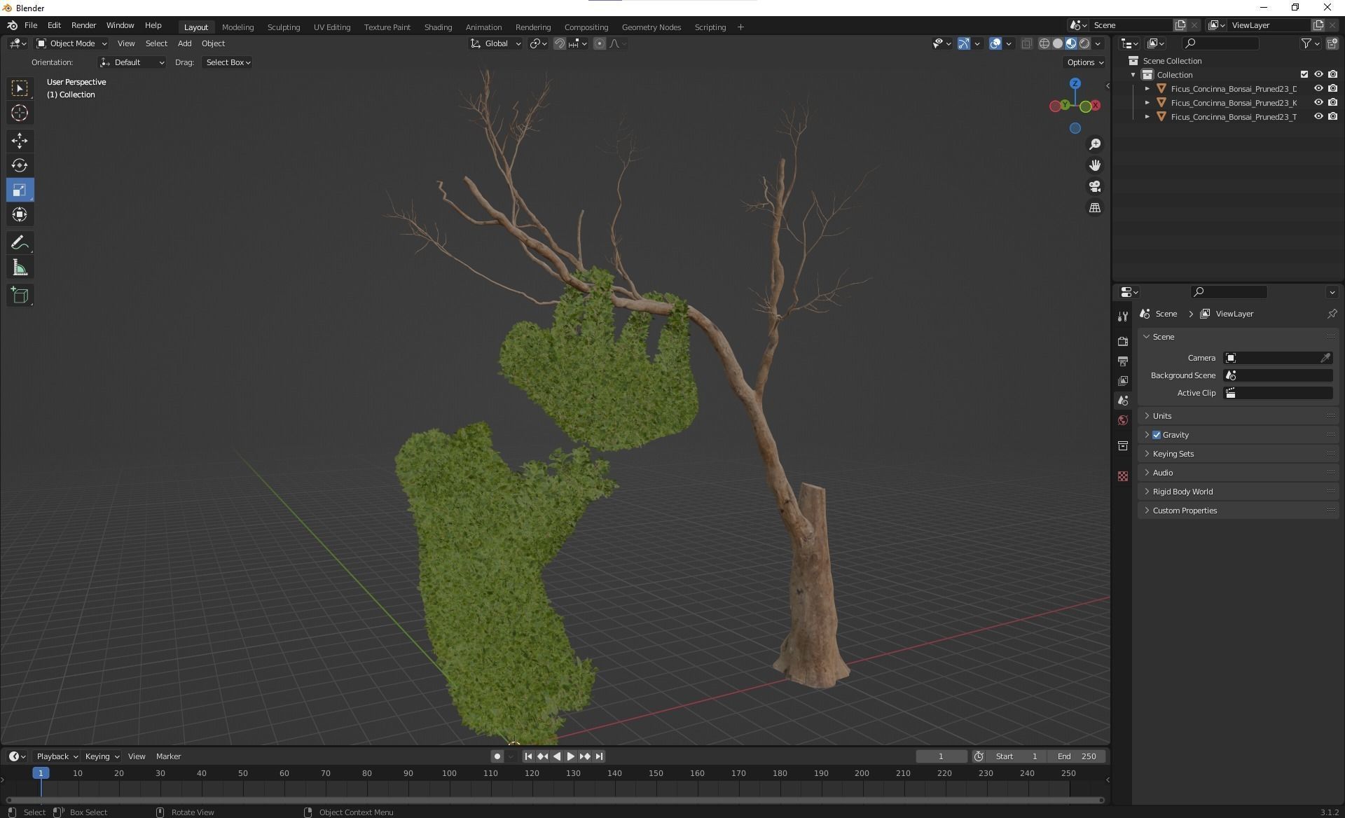 Ficus Concinna Bonsai Pruned Koala ThreeToedSloth 3D model_5