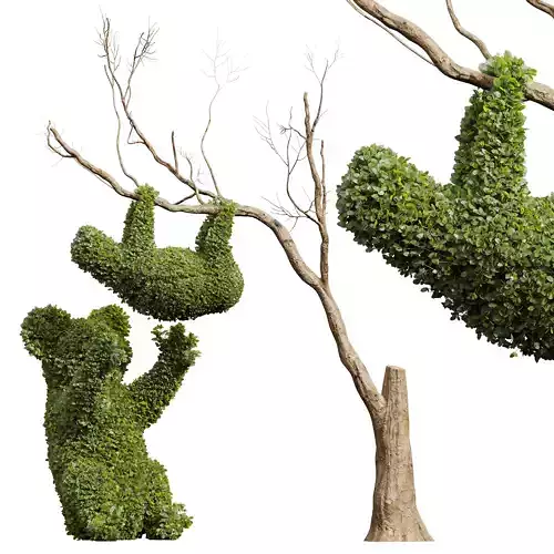 Ficus Concinna Bonsai Pruned Koala ThreeToedSloth 3D model