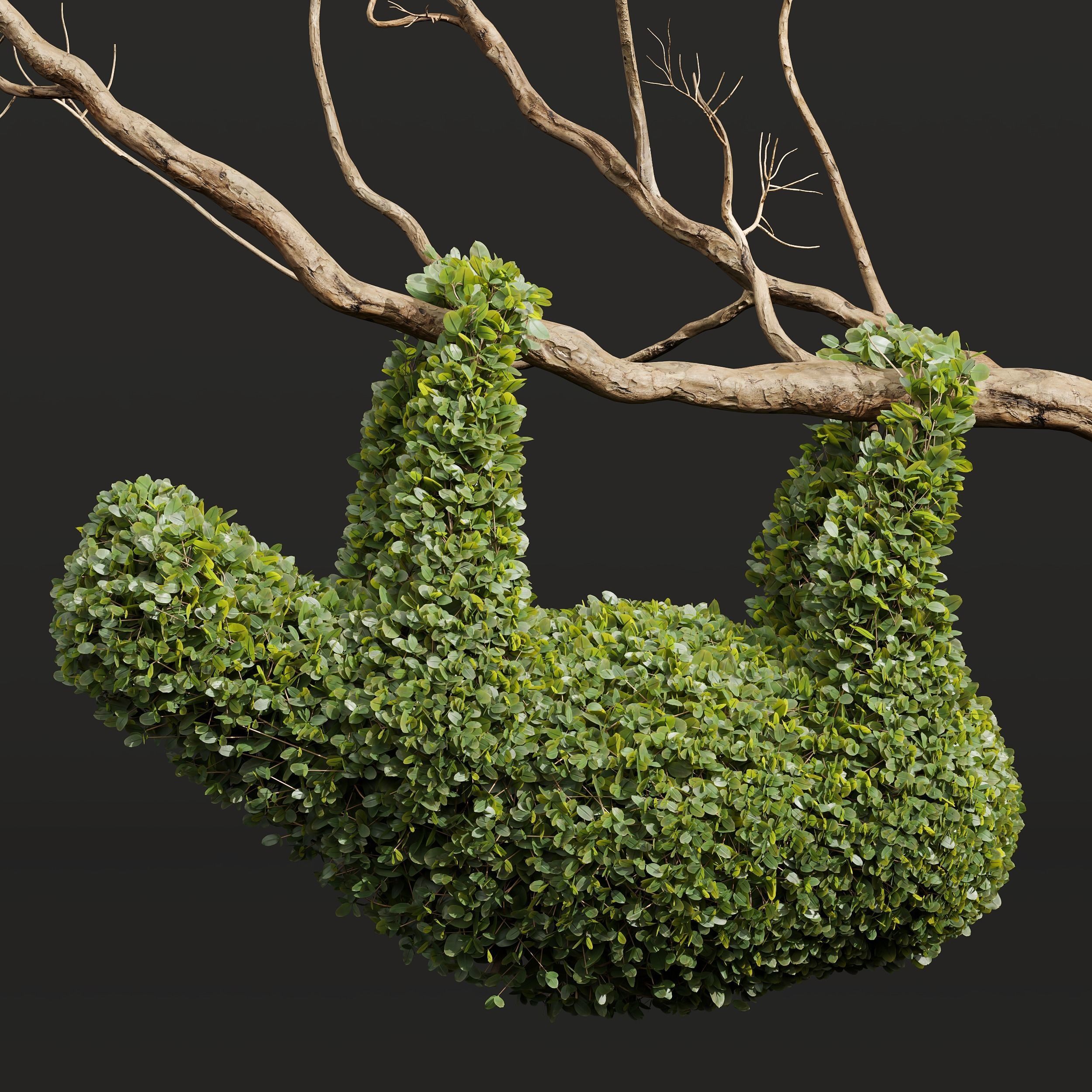 Ficus Concinna Bonsai Pruned Koala ThreeToedSloth 3D model_1