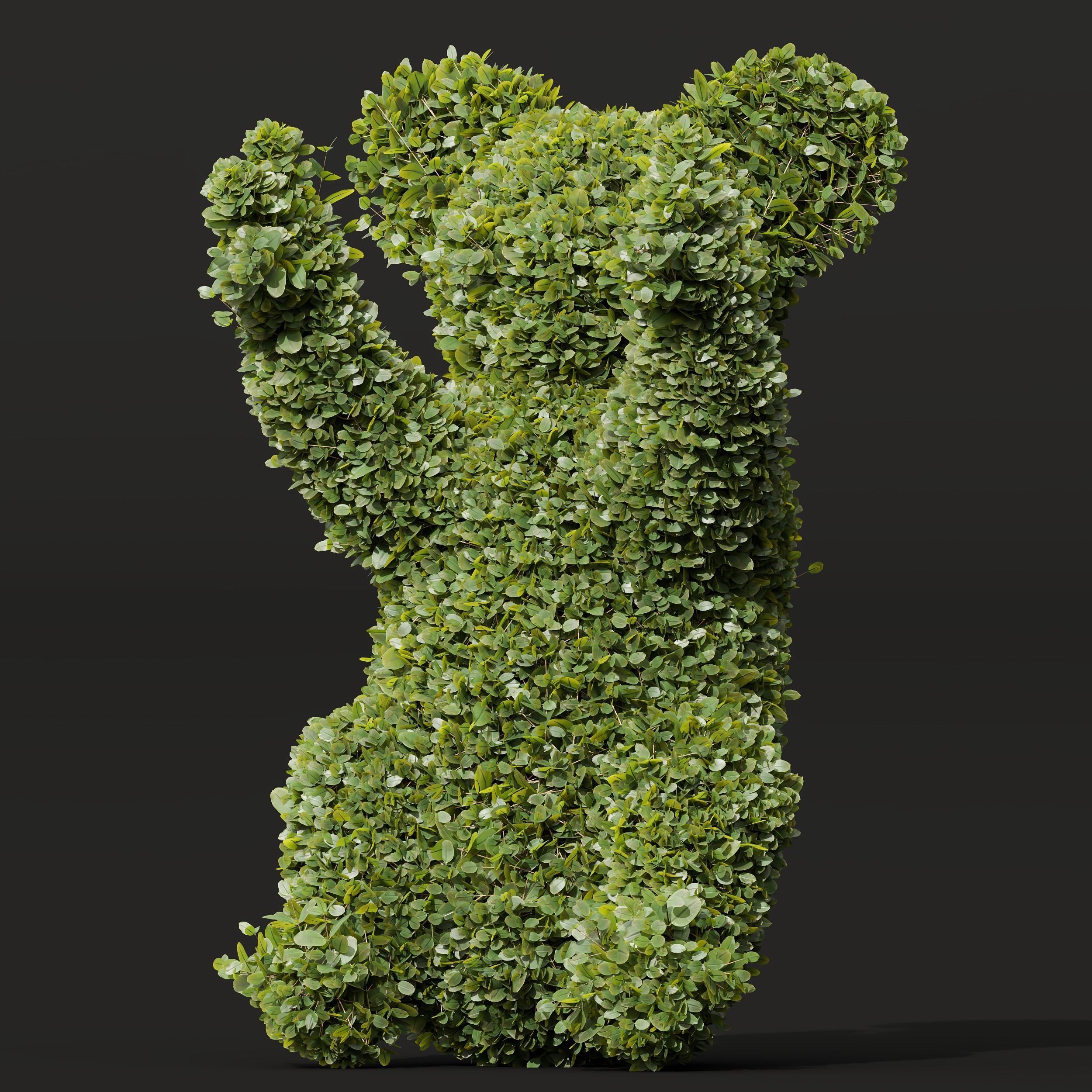 Ficus Concinna Bonsai Pruned Koala ThreeToedSloth 3D model_2