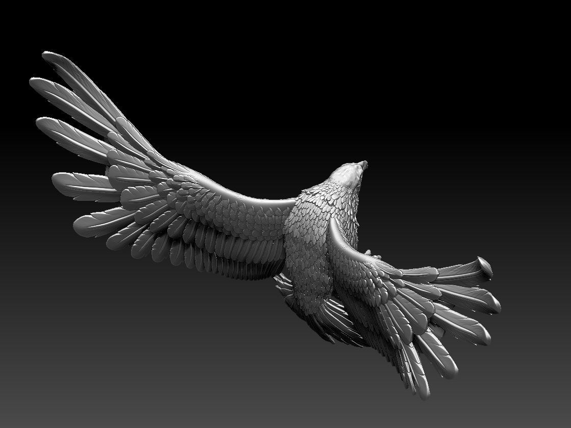 eagle 3D print model_40