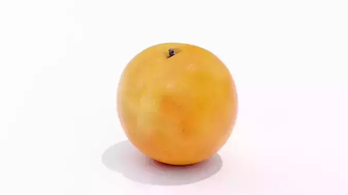Apricot