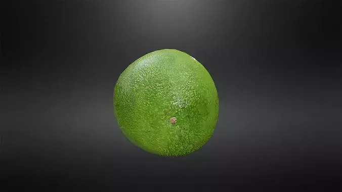 Avocado Low-poly 3D model 5