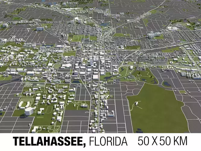 Tellahassee Florida USA 50x50km 3D City Map