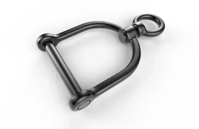 Swivel D-Ring 06