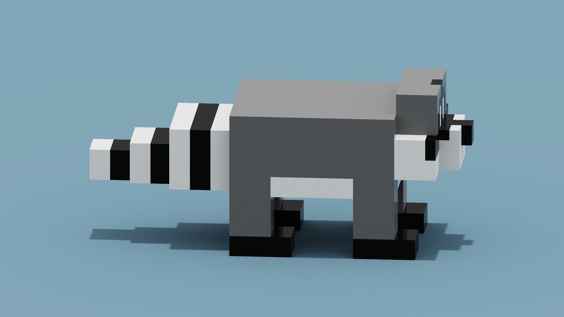Voxel Raccoon Low-poly 3D model_11