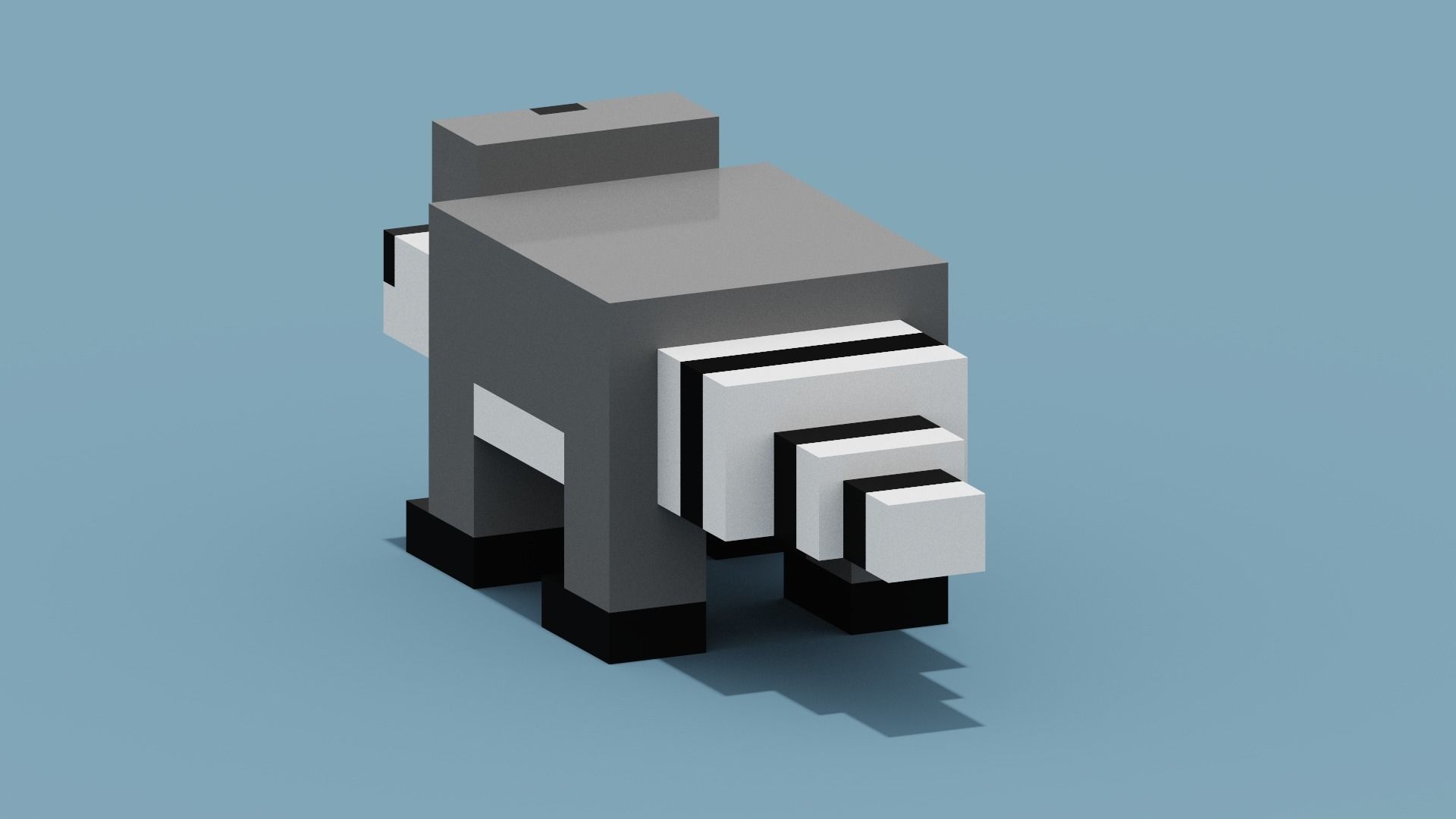 Voxel Raccoon Low-poly 3D model_7