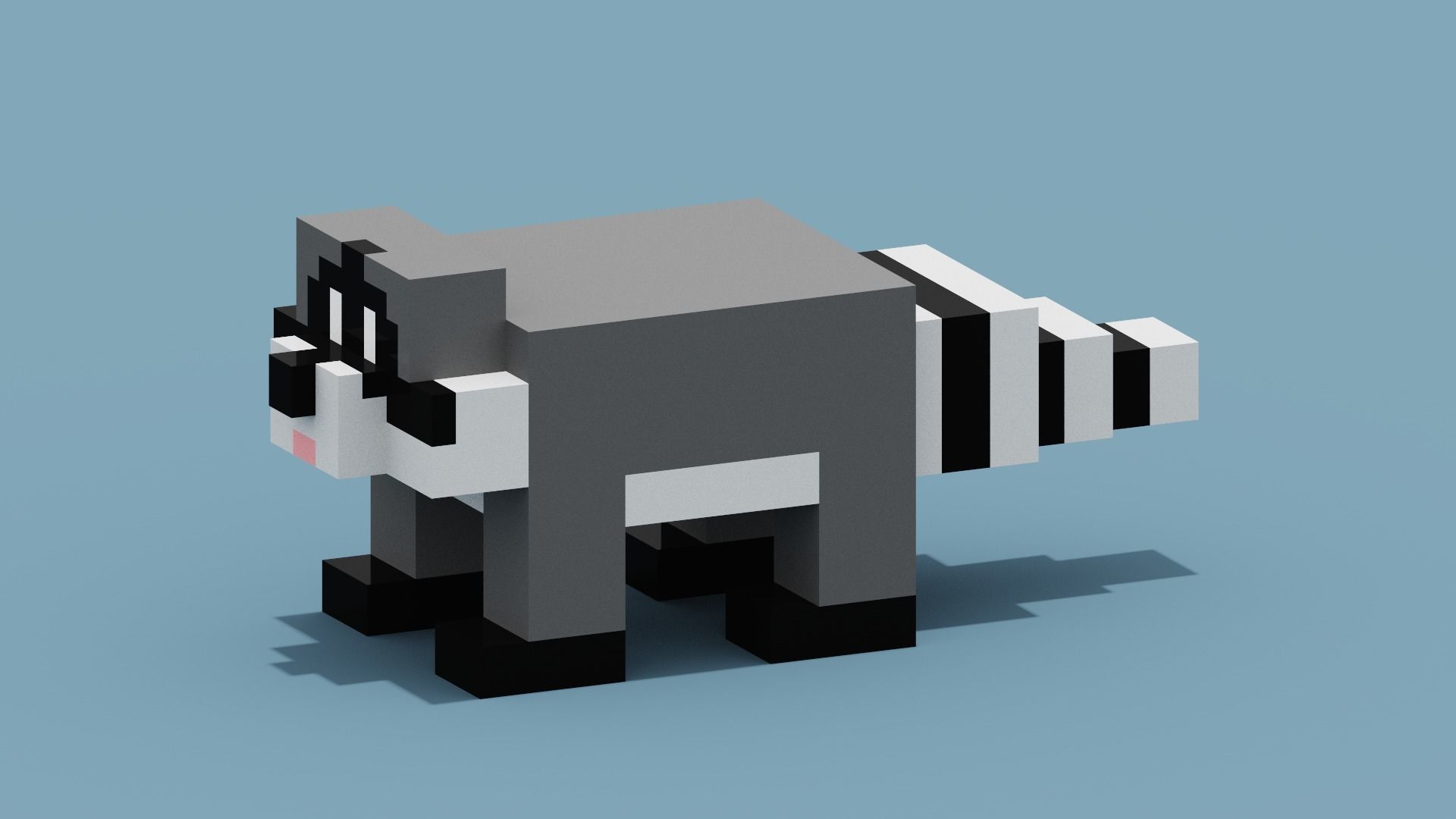 Voxel Raccoon Low-poly 3D model_4