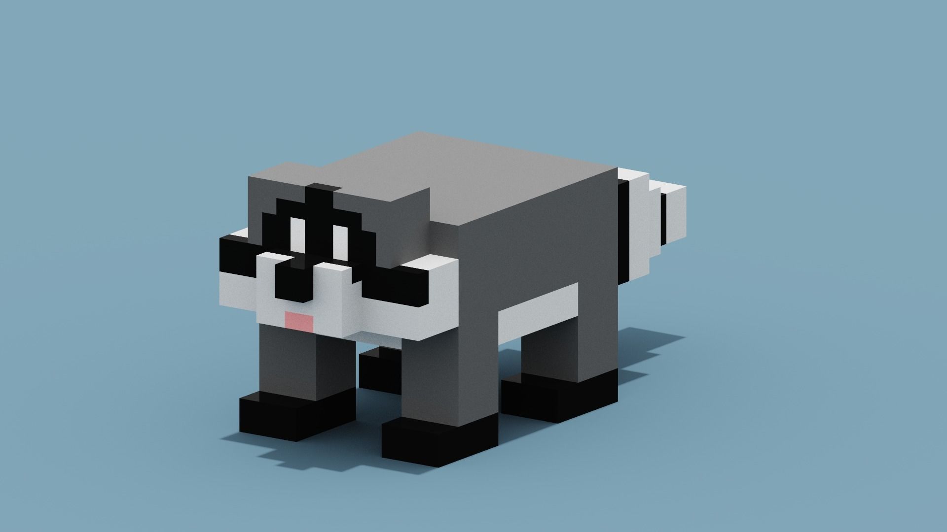Voxel Raccoon Low-poly 3D model_3