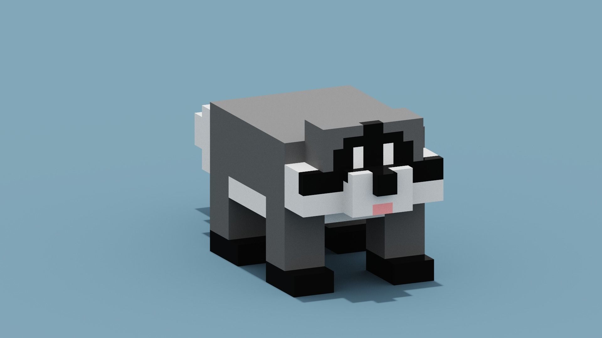 Voxel Raccoon Low-poly 3D model_1