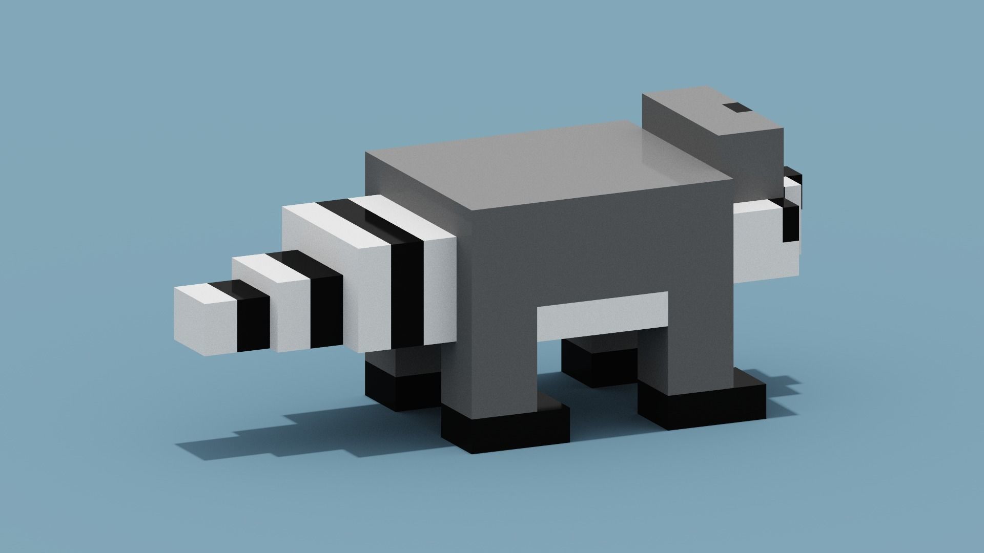 Voxel Raccoon Low-poly 3D model_10
