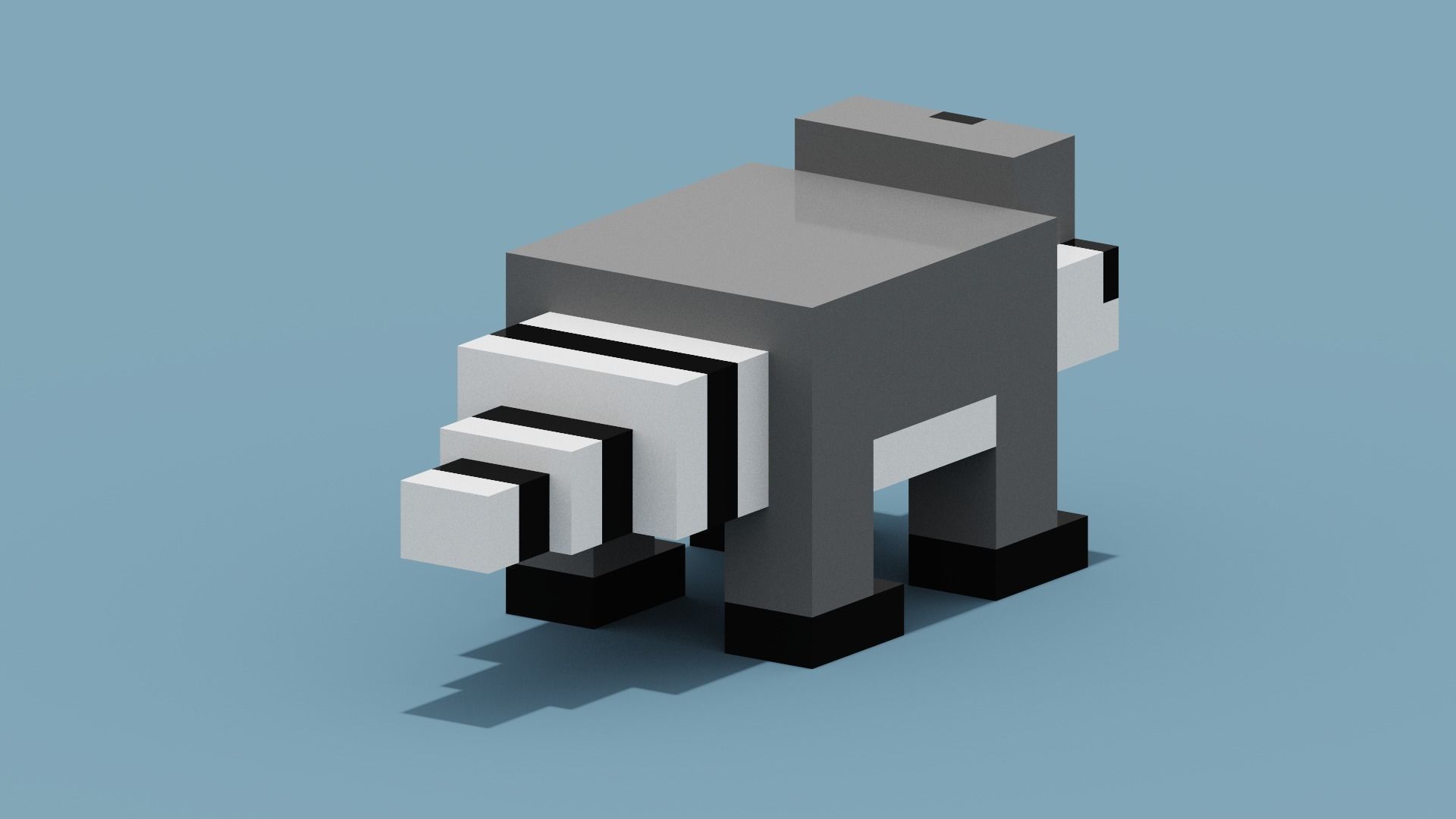 Voxel Raccoon Low-poly 3D model_9