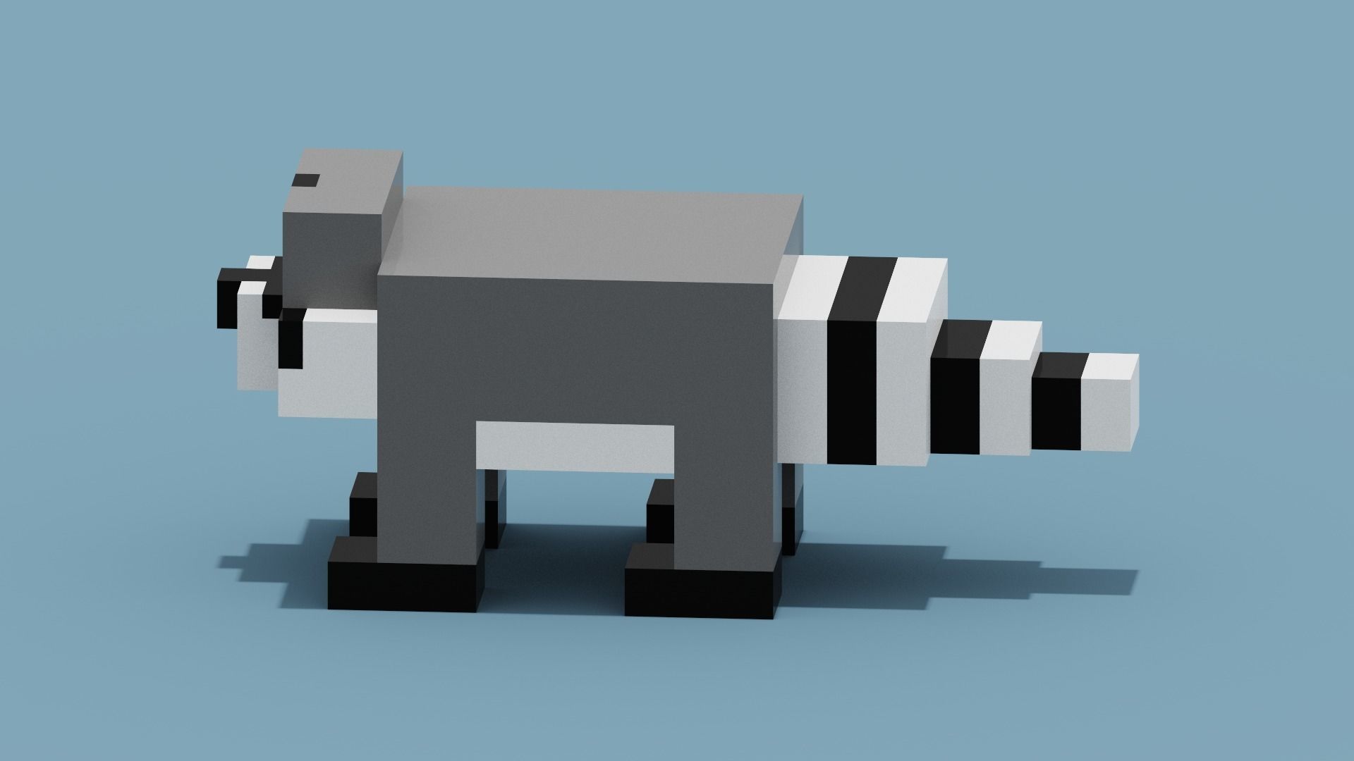 Voxel Raccoon Low-poly 3D model_5