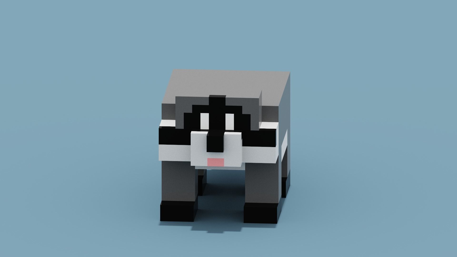 Voxel Raccoon Low-poly 3D model_2