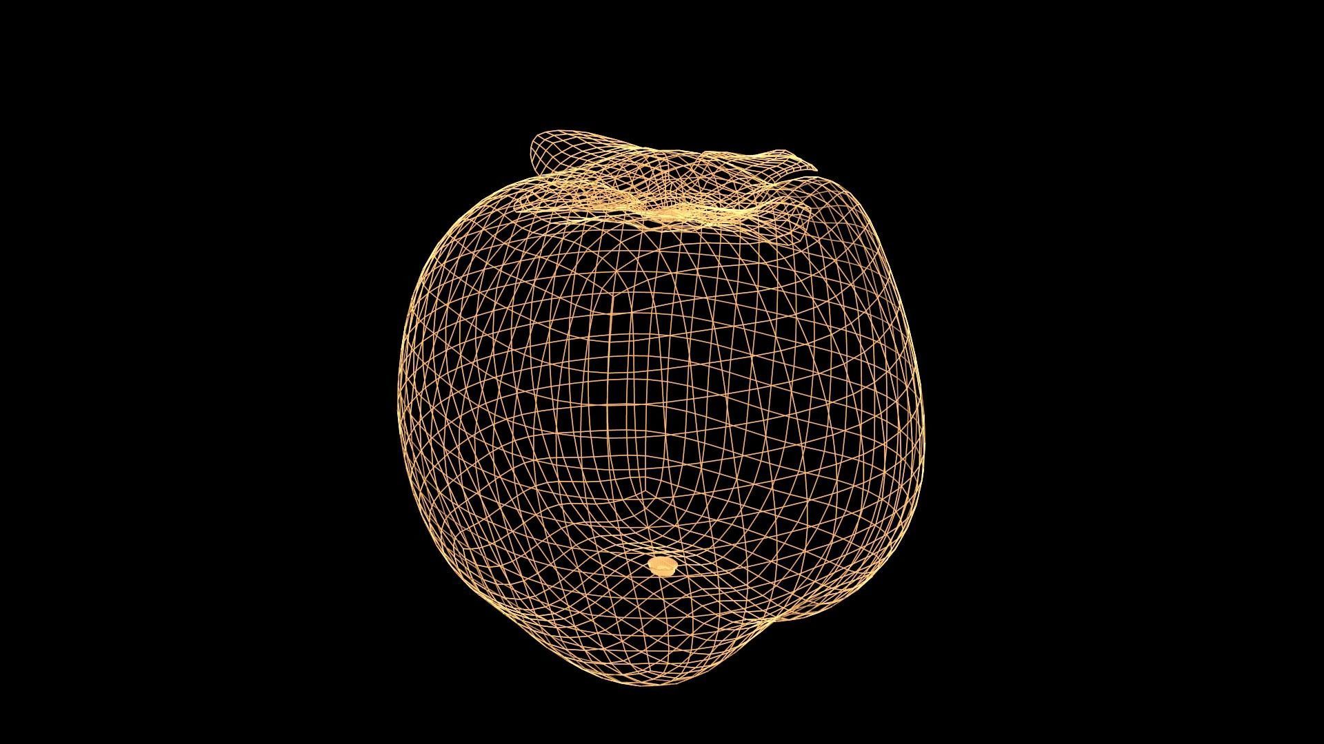 Caqui persimmon Low-poly 3D model_5