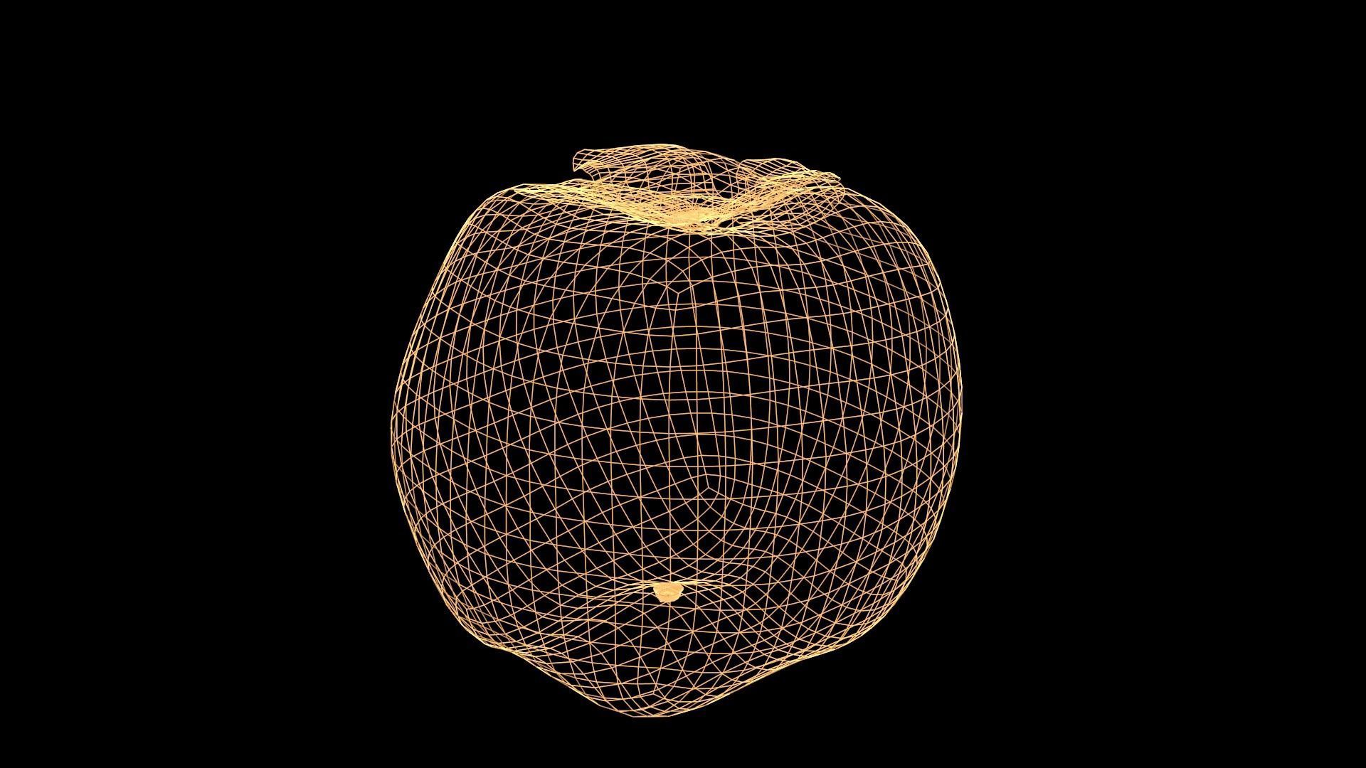 Caqui persimmon Low-poly 3D model_6