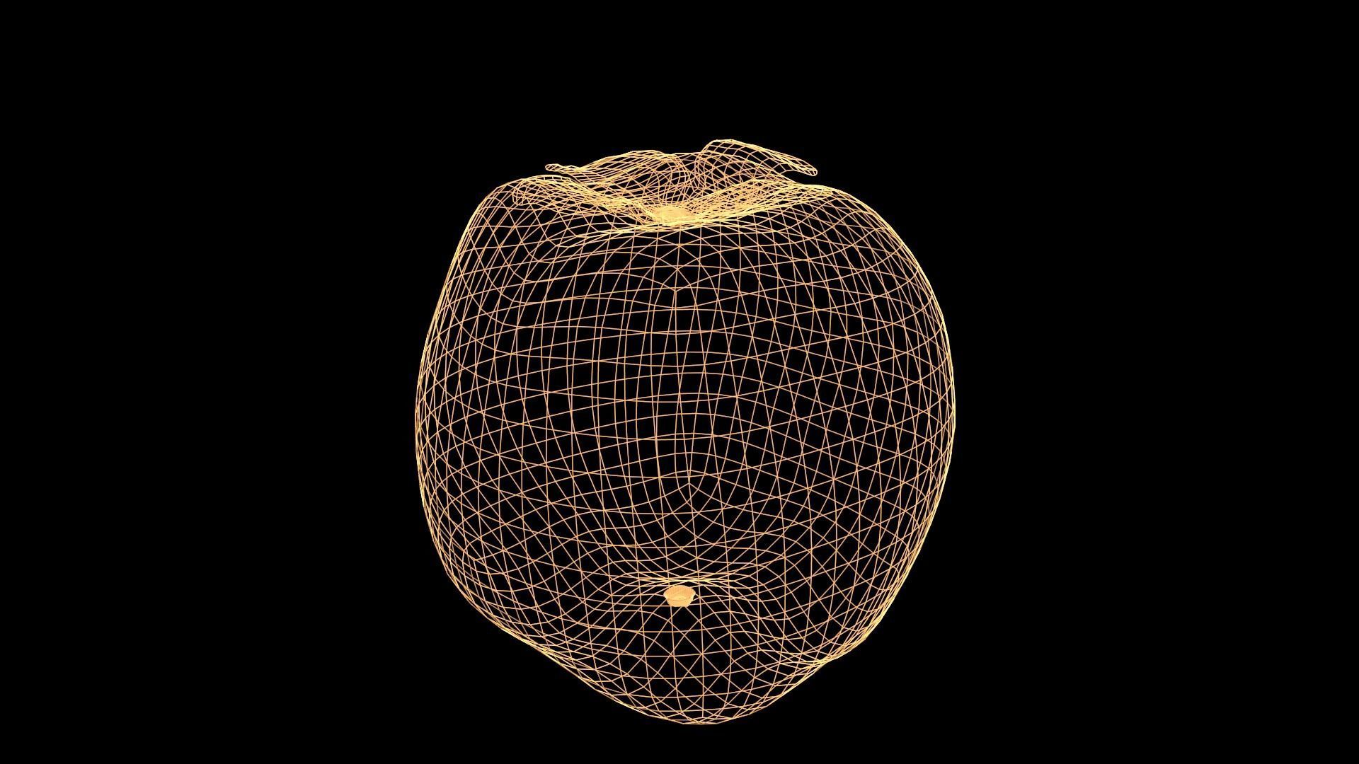 Caqui persimmon Low-poly 3D model_7