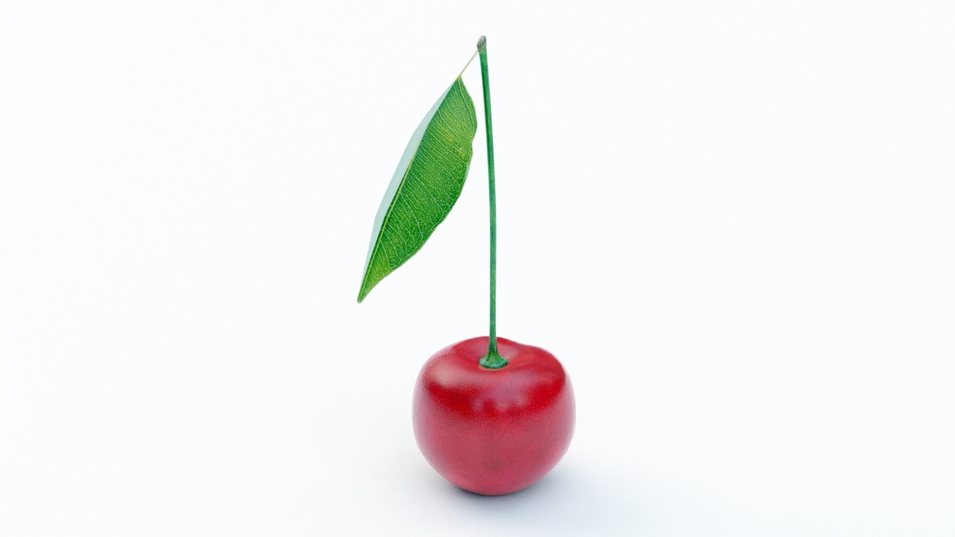 Cherry with leaf Low-poly 3D model_2