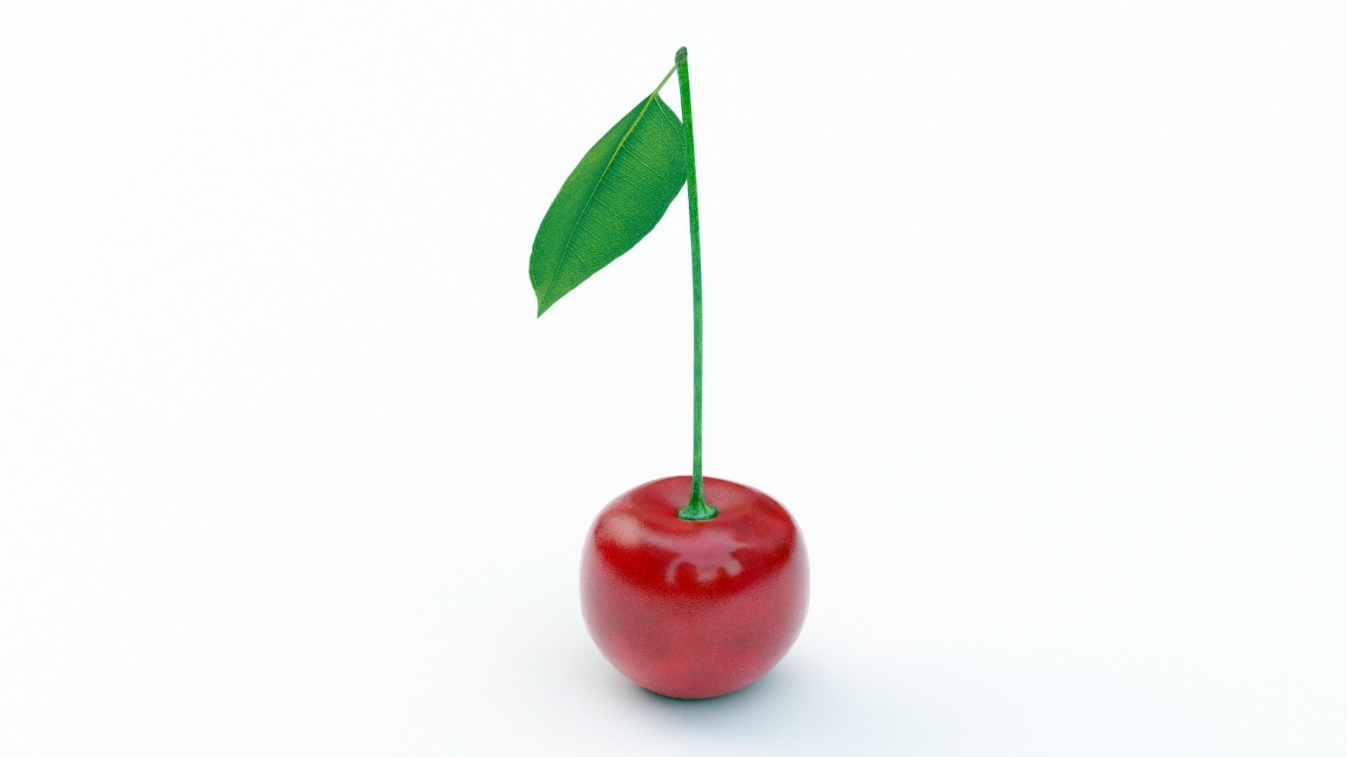 Cherry with leaf Low-poly 3D model_1