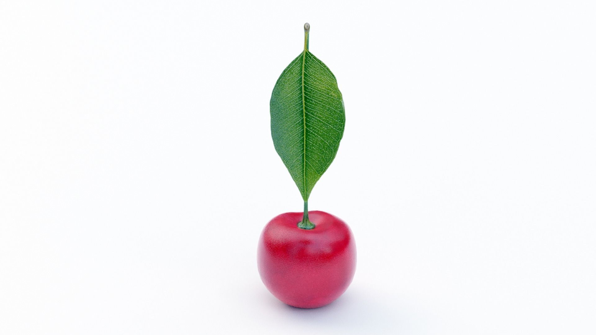 Cherry with leaf Low-poly 3D model_3