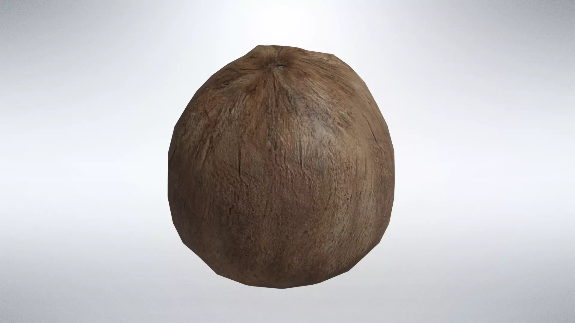 Coconut Low-poly 3D model_0