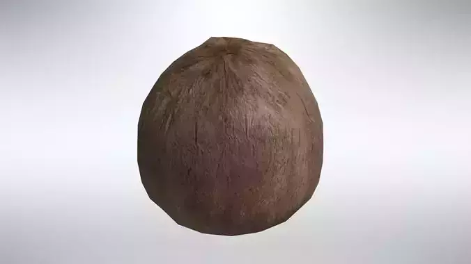 Coconut Low-poly 3D model