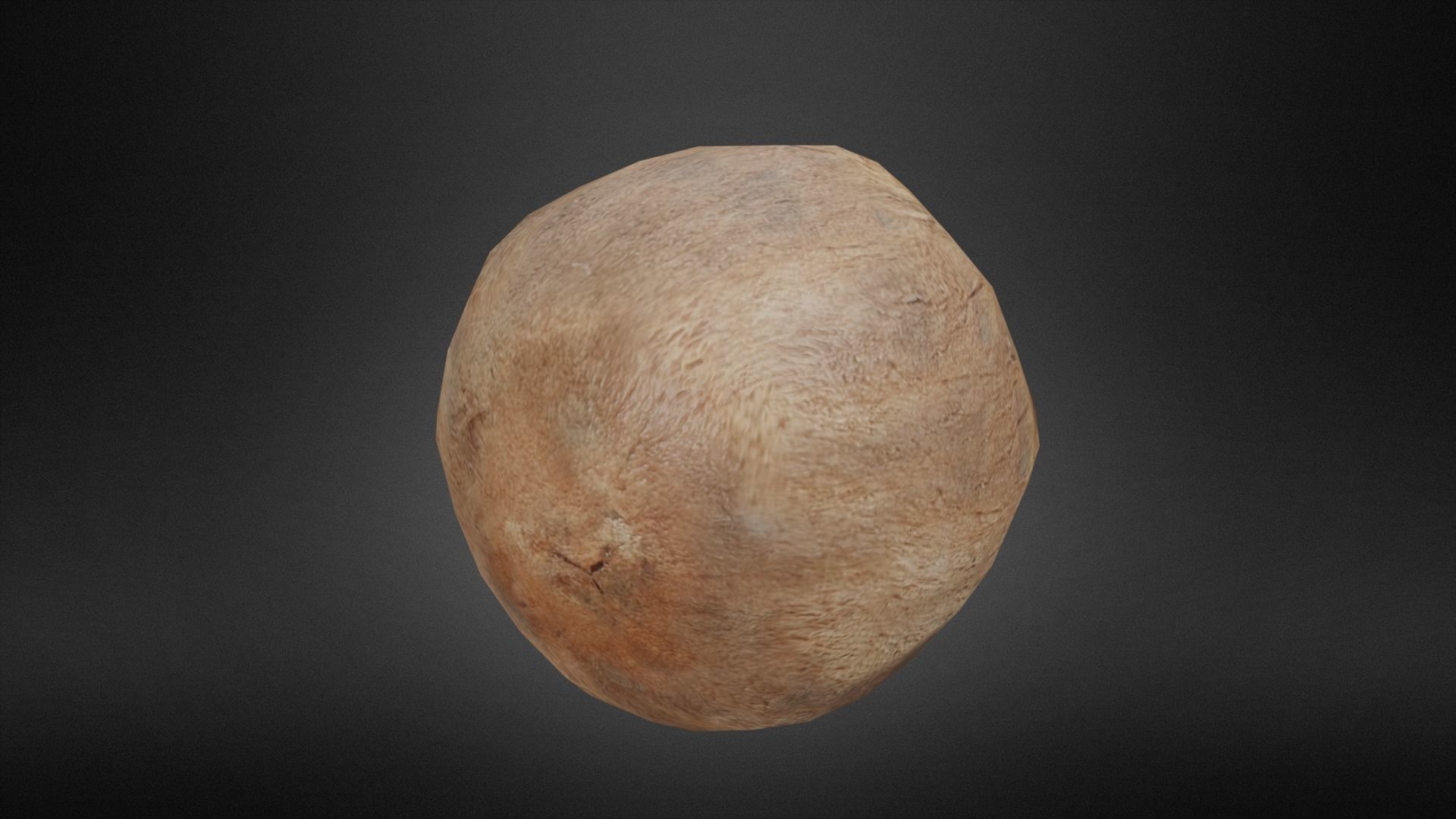 Coconut Low-poly 3D model_5