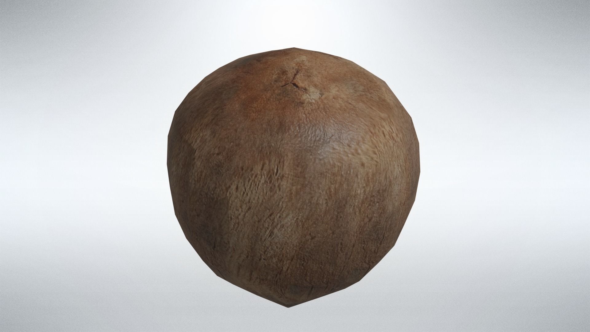 Coconut Low-poly 3D model_2