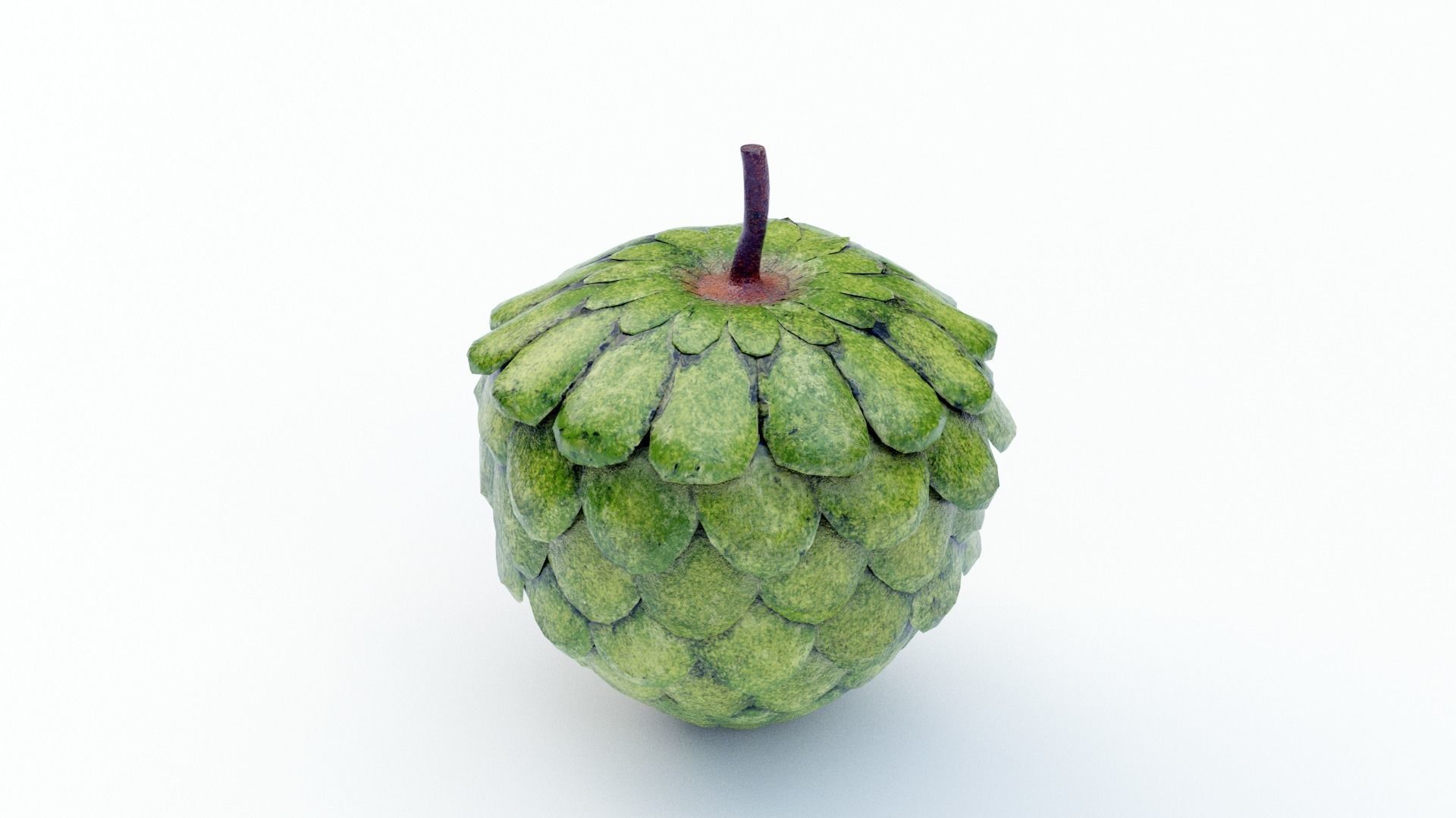 Custard Apple  - Cherimoya Low-poly 3D model_2