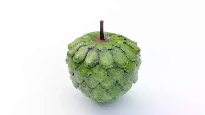 Custard Apple  - Cherimoya Low-poly 3D model