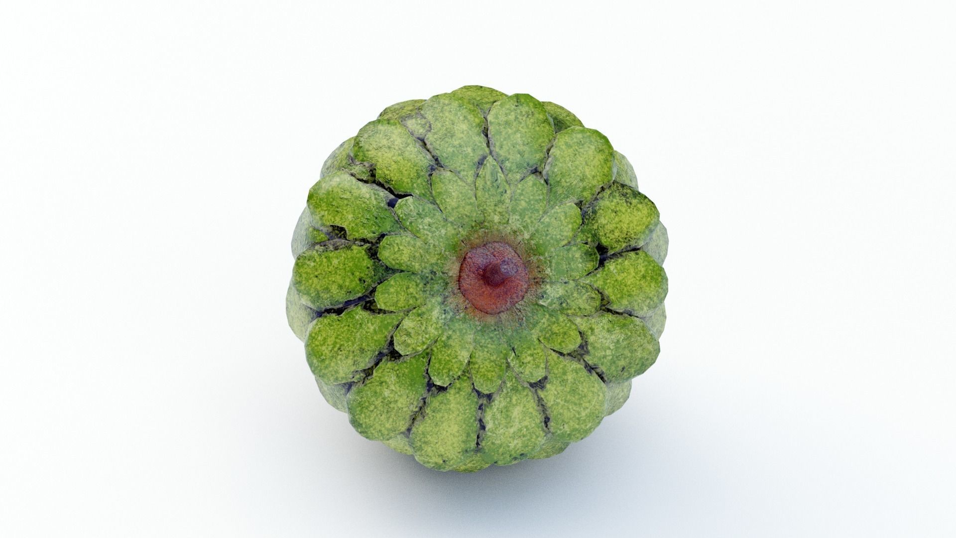 Custard Apple  - Cherimoya Low-poly 3D model_5
