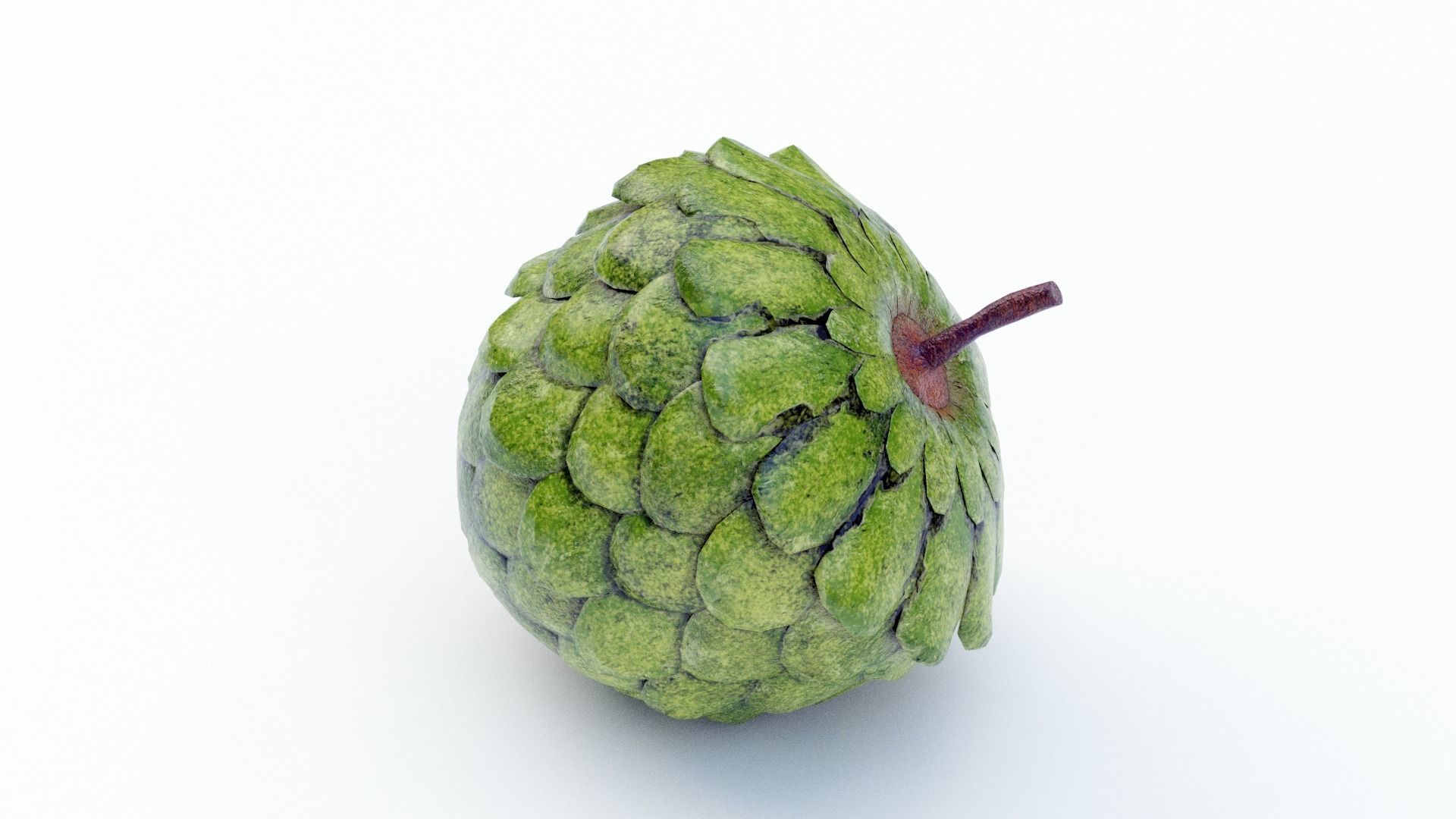 Custard Apple  - Cherimoya Low-poly 3D model_4