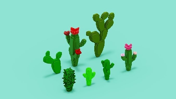 Voxel Cactus Set Low-poly 3D model