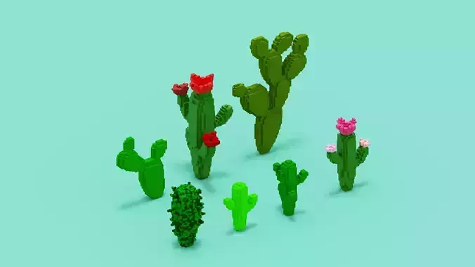 Voxel Cactus Set