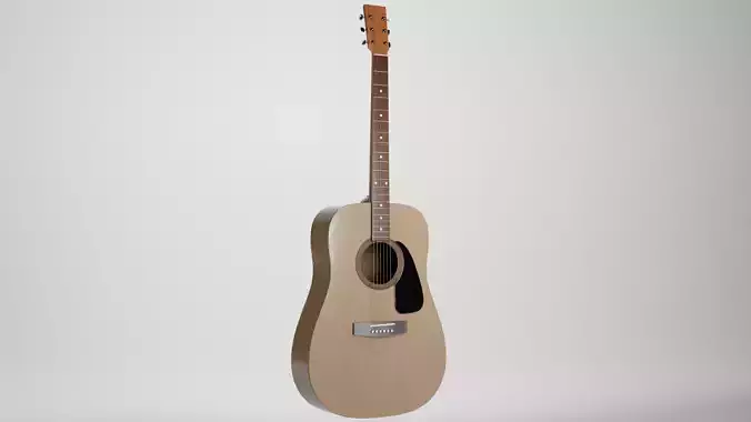 Acoustic Guitar