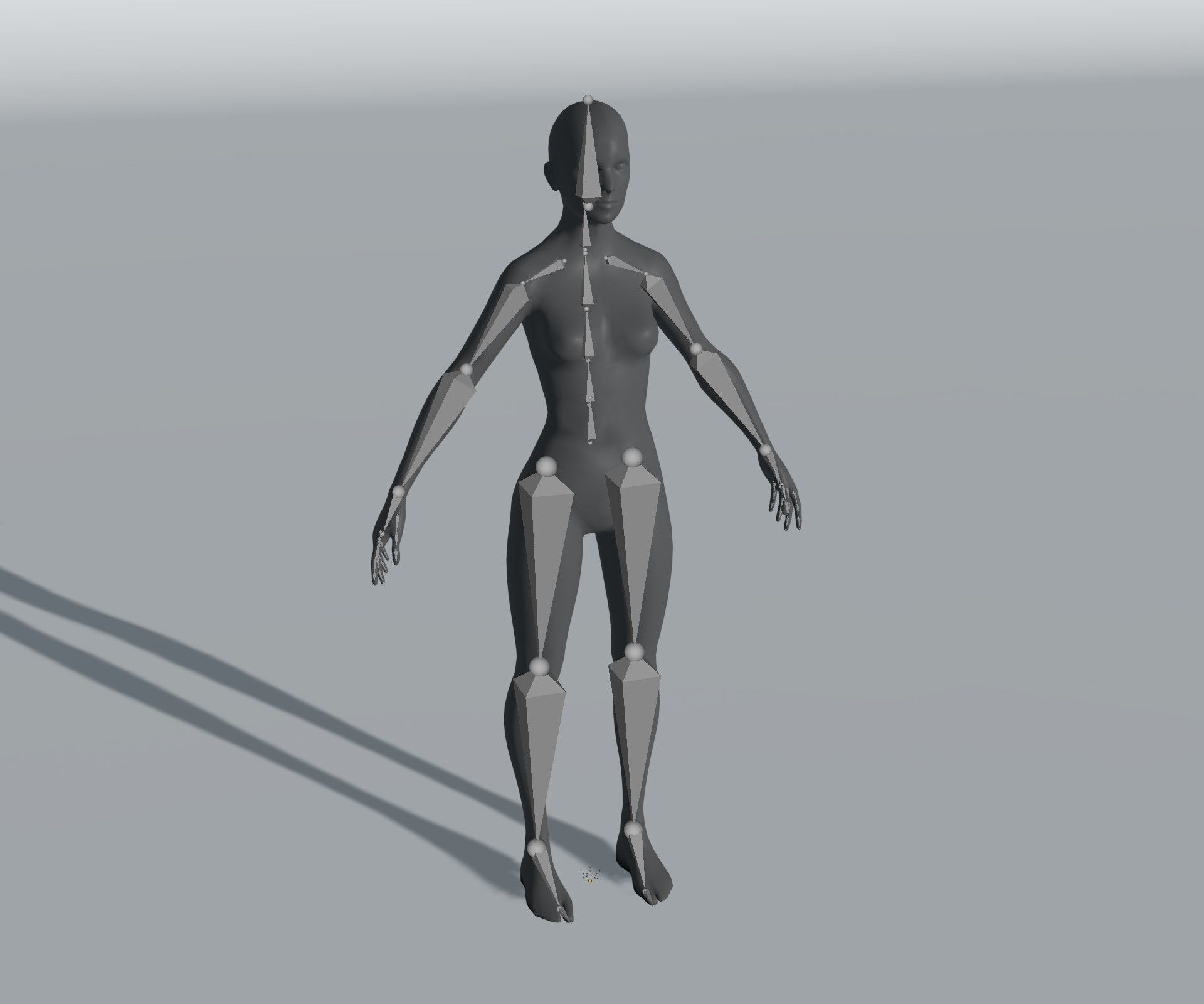 Male Female Body Base Mesh 28 Animations 3D Model 5k Polygons Low-poly 3D model_7
