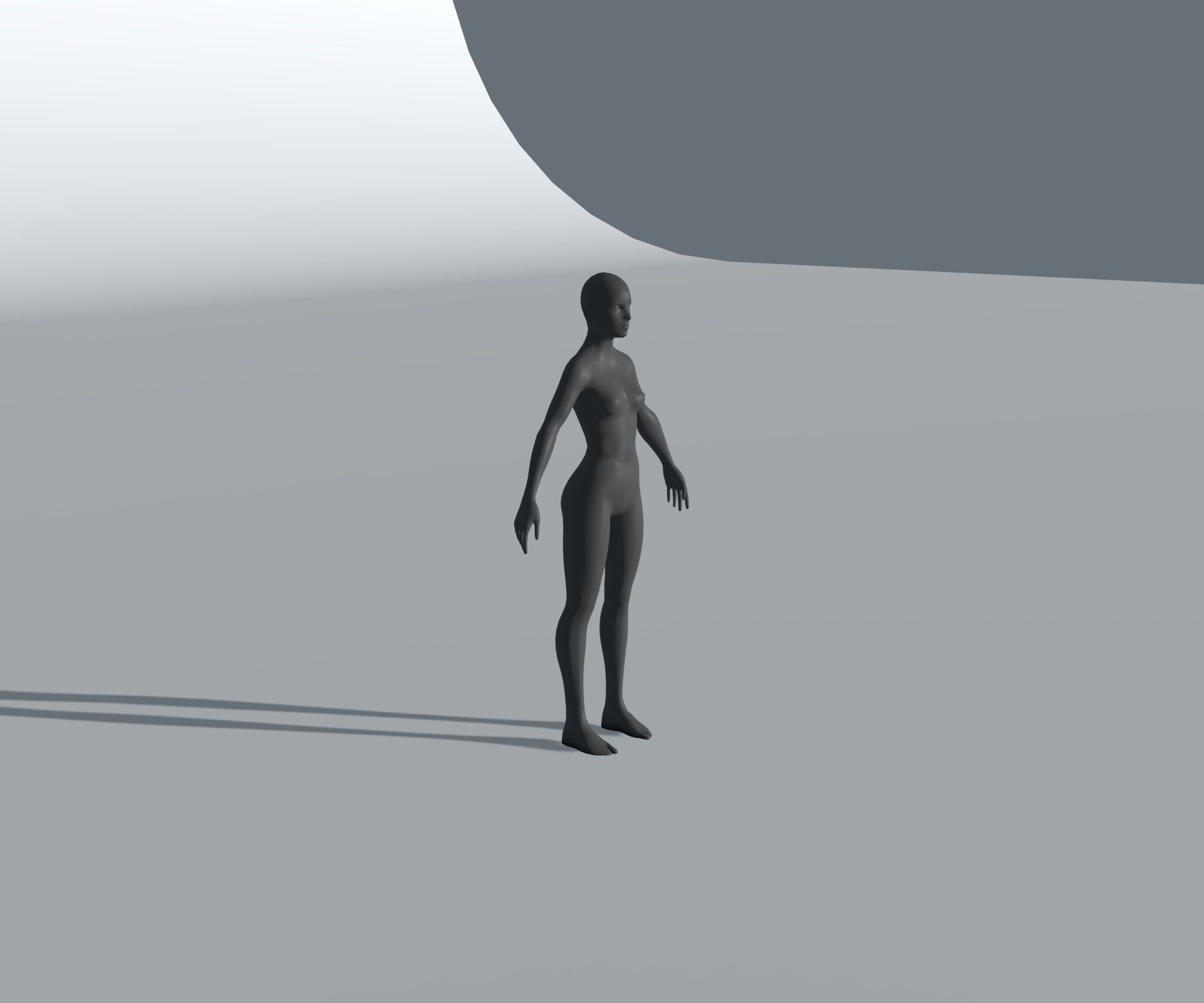 Male Female Body Base Mesh 28 Animations 3D Model 5k Polygons Low-poly 3D model_23