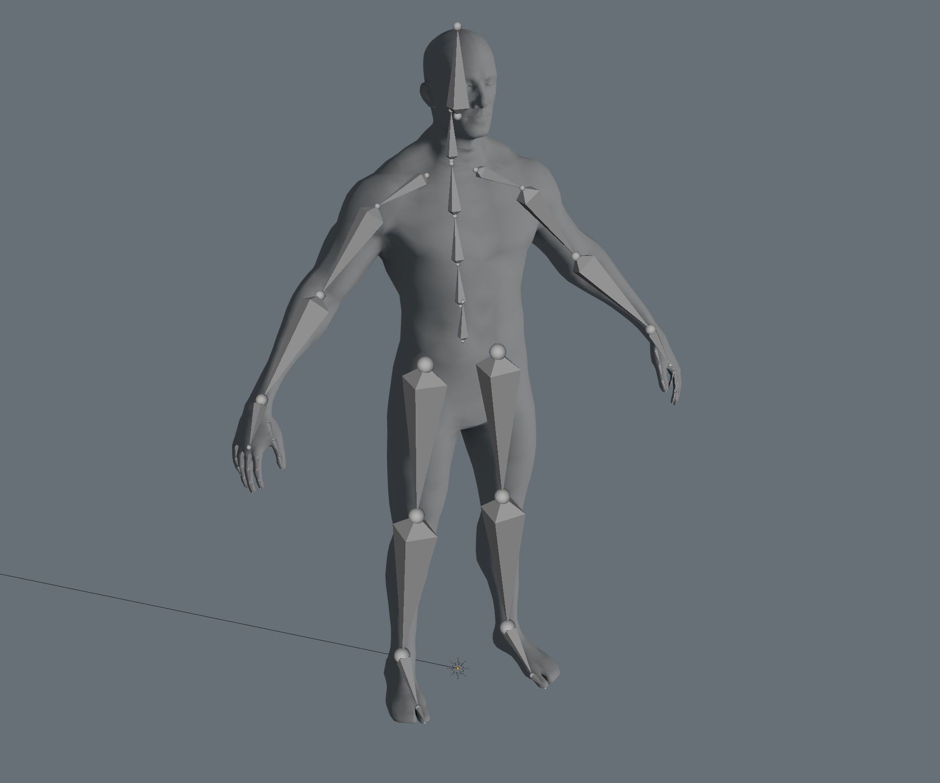 Male Female Body Base Mesh 28 Animations 3D Model 5k Polygons Low-poly 3D model_27