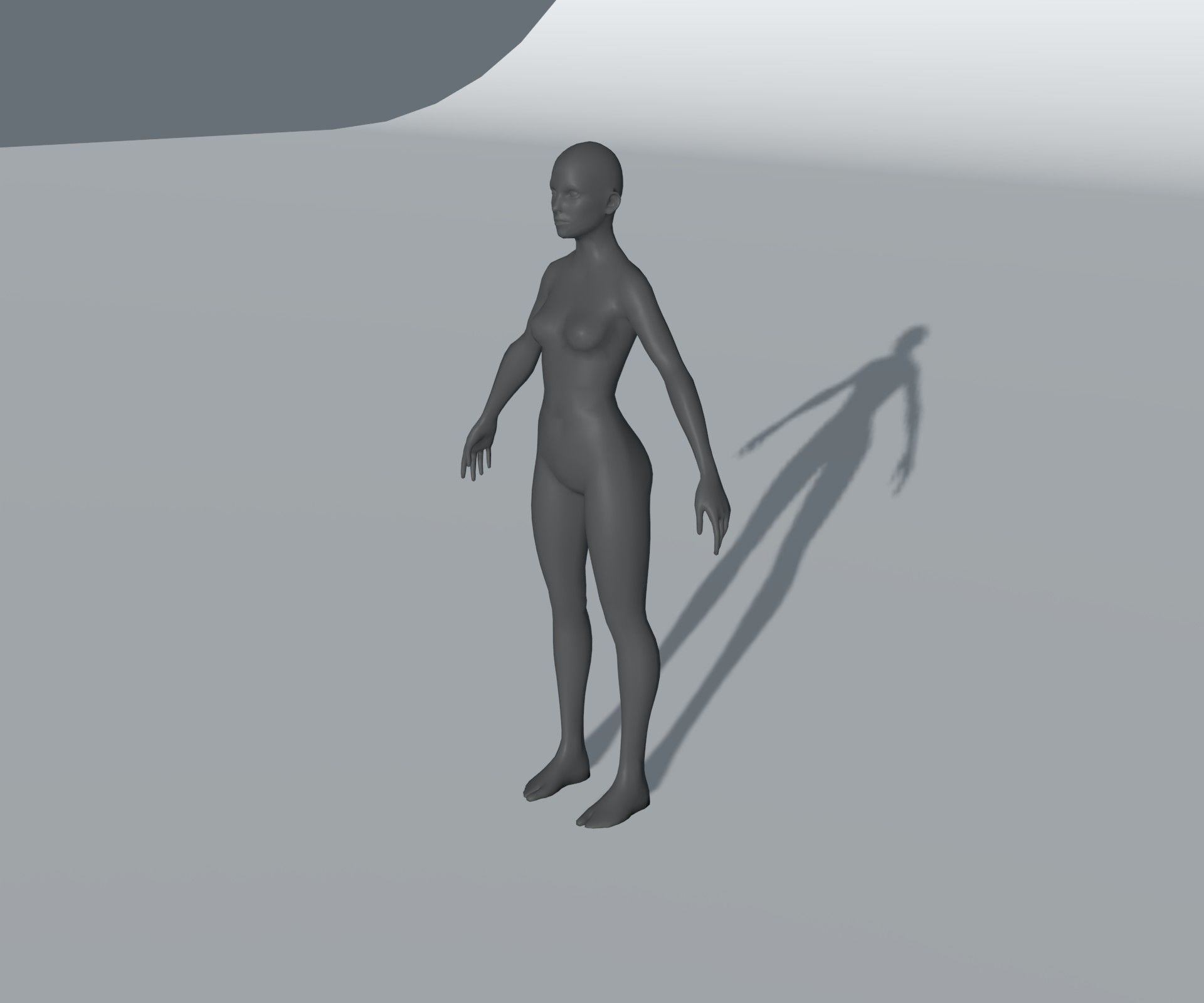 Male Female Body Base Mesh 28 Animations 3D Model 5k Polygons Low-poly 3D model_12
