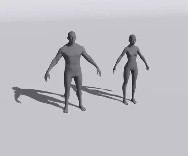 Male Female Body Base Mesh 28 Animations 3D Model 5k Polygons 3D Model Collection