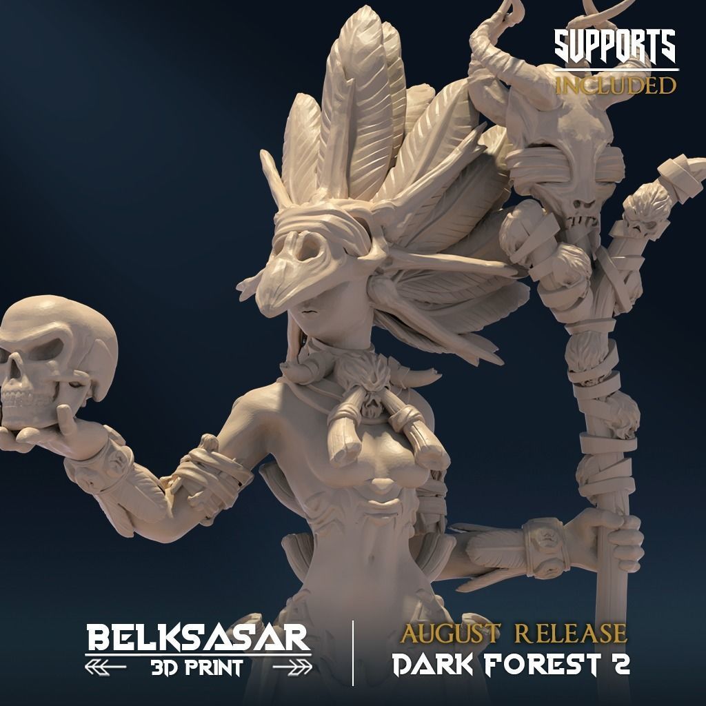 Deepkeeper Shaman C 3D print model_3