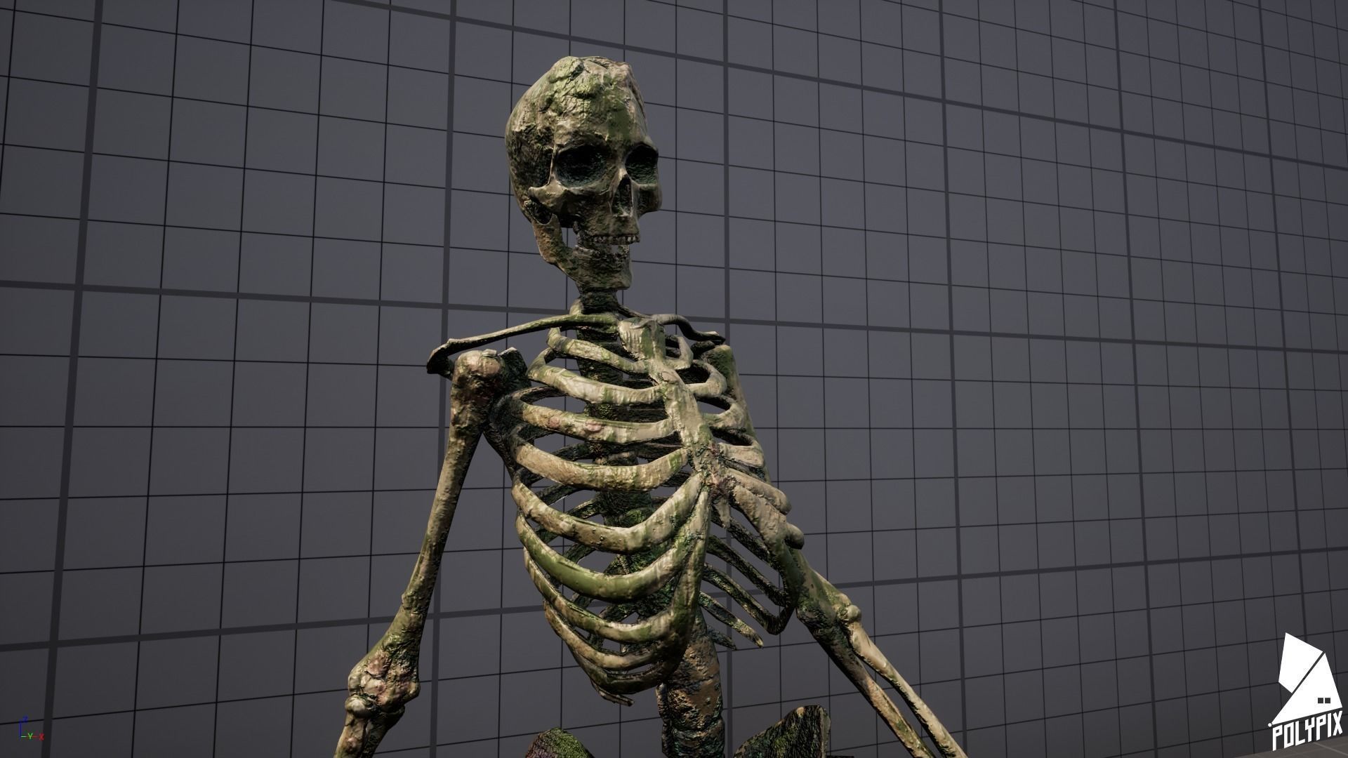 Mossy Skulls VOL 1 Low-poly 3D model_2