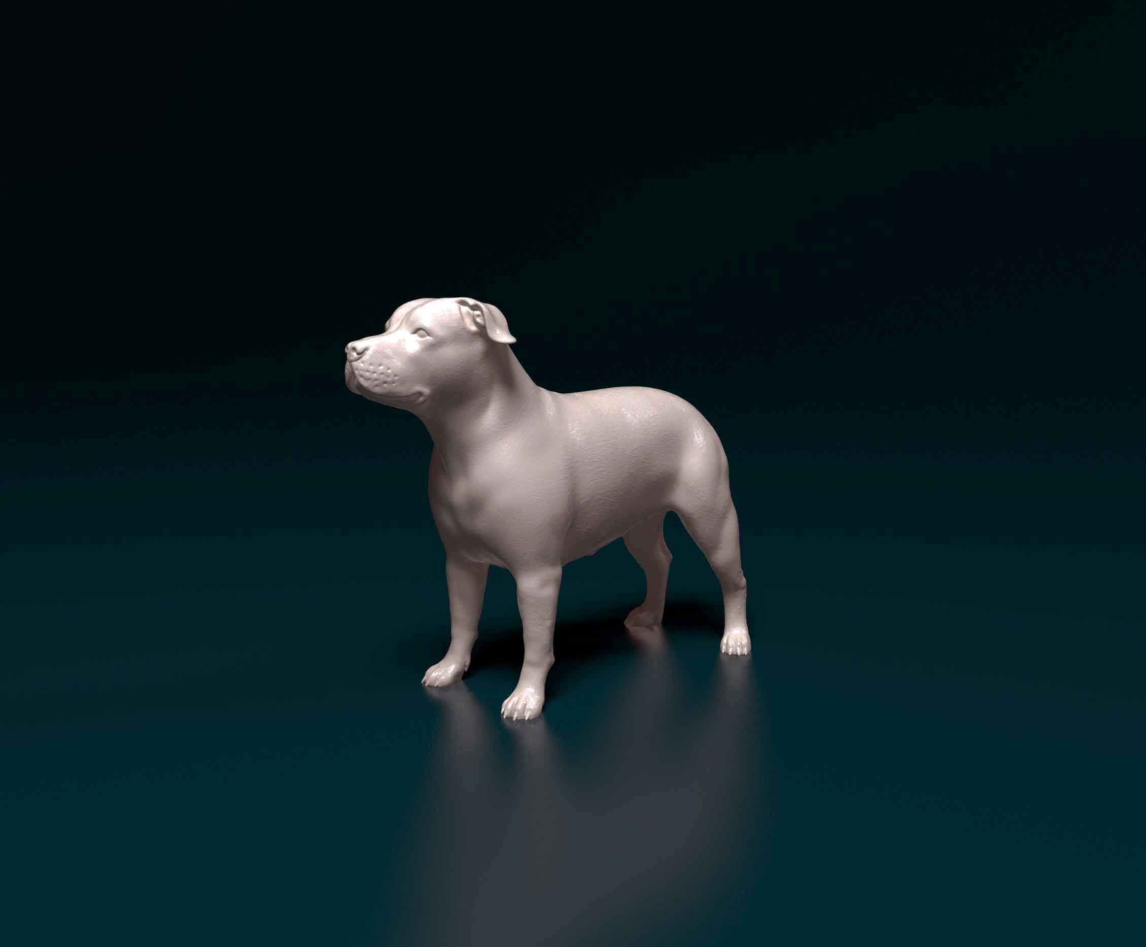 Pit Bull terrier 3D print model_5