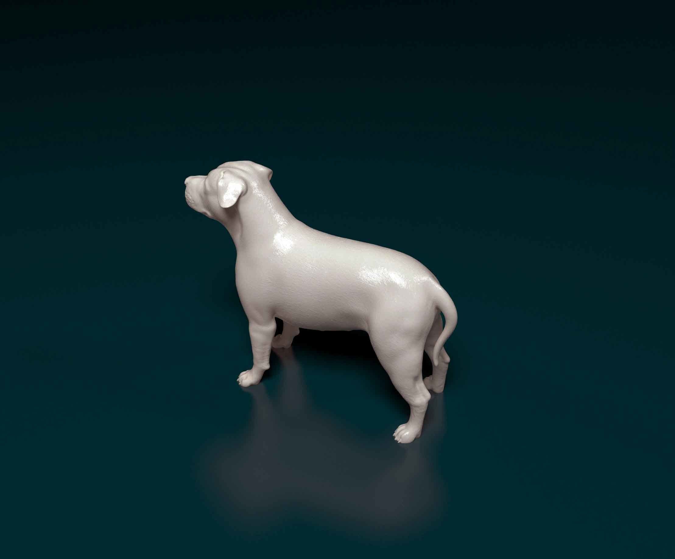 Pit Bull terrier 3D print model_4