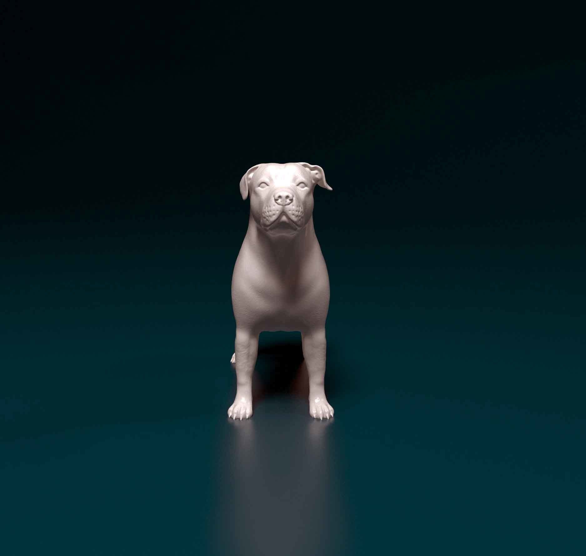 Pit Bull terrier 3D print model_6