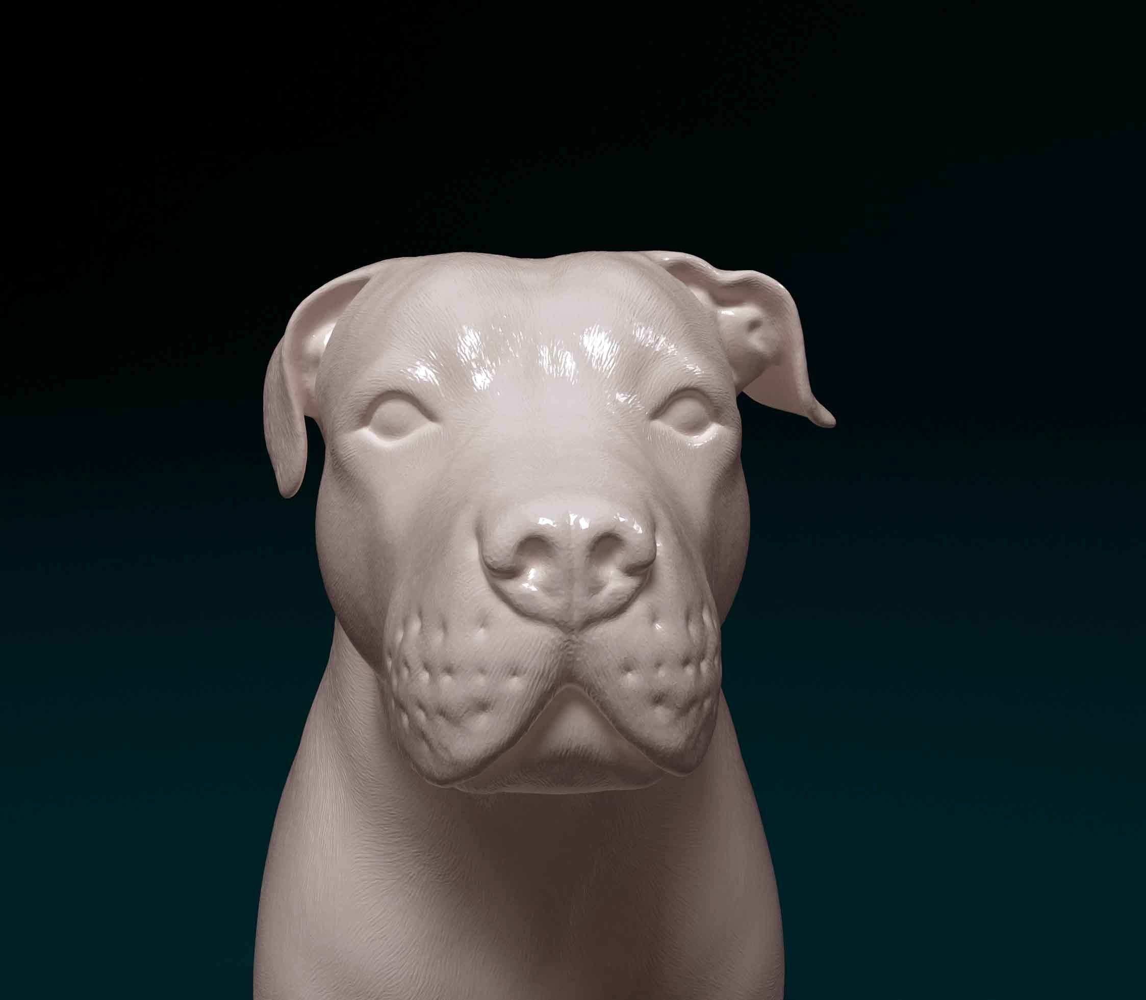 Pit Bull terrier 3D print model_7