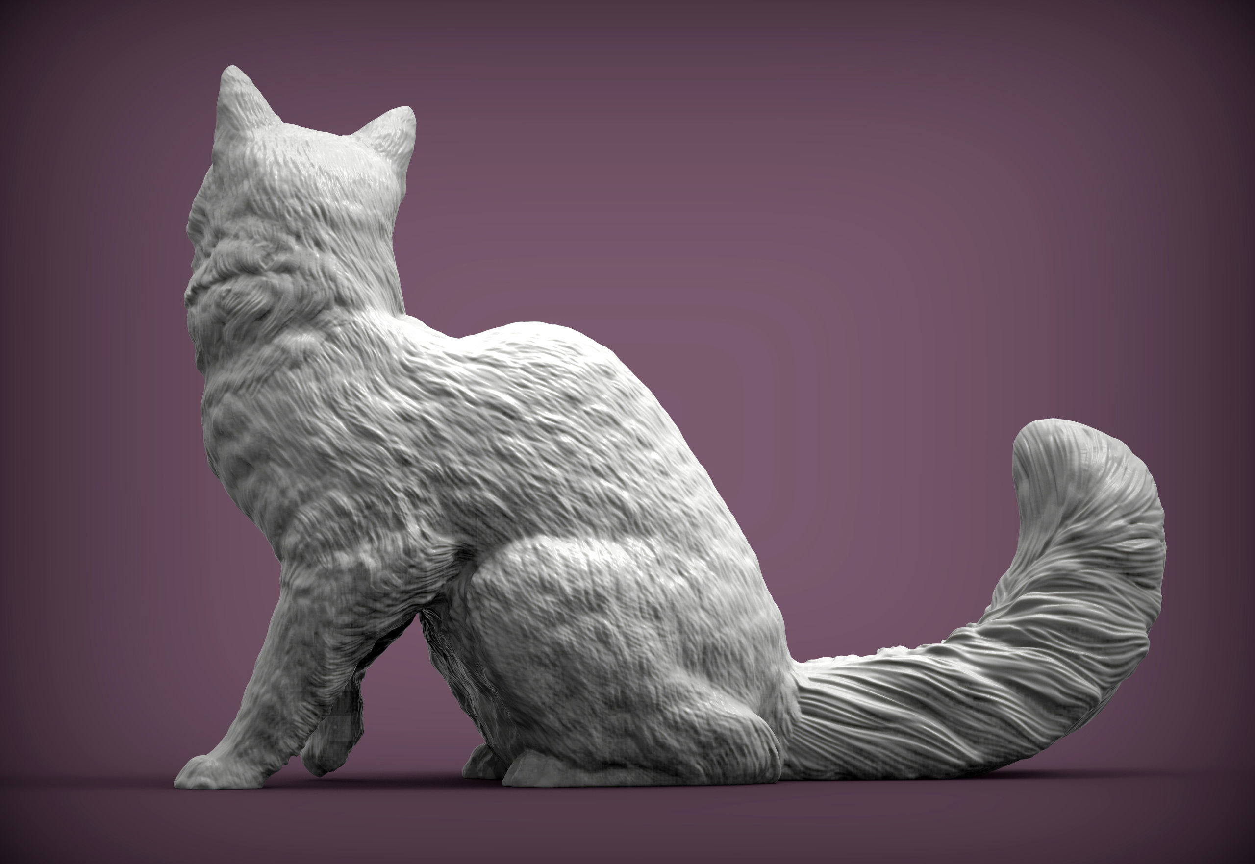 somali cat 3D print model_6